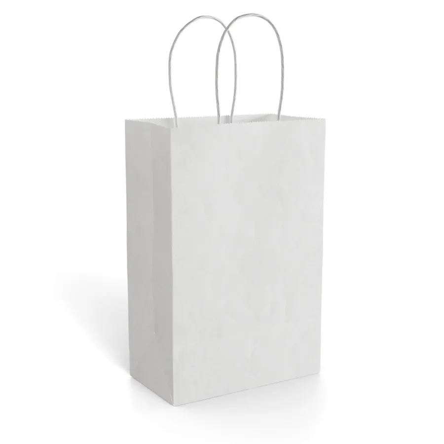 Paper Gift Bag