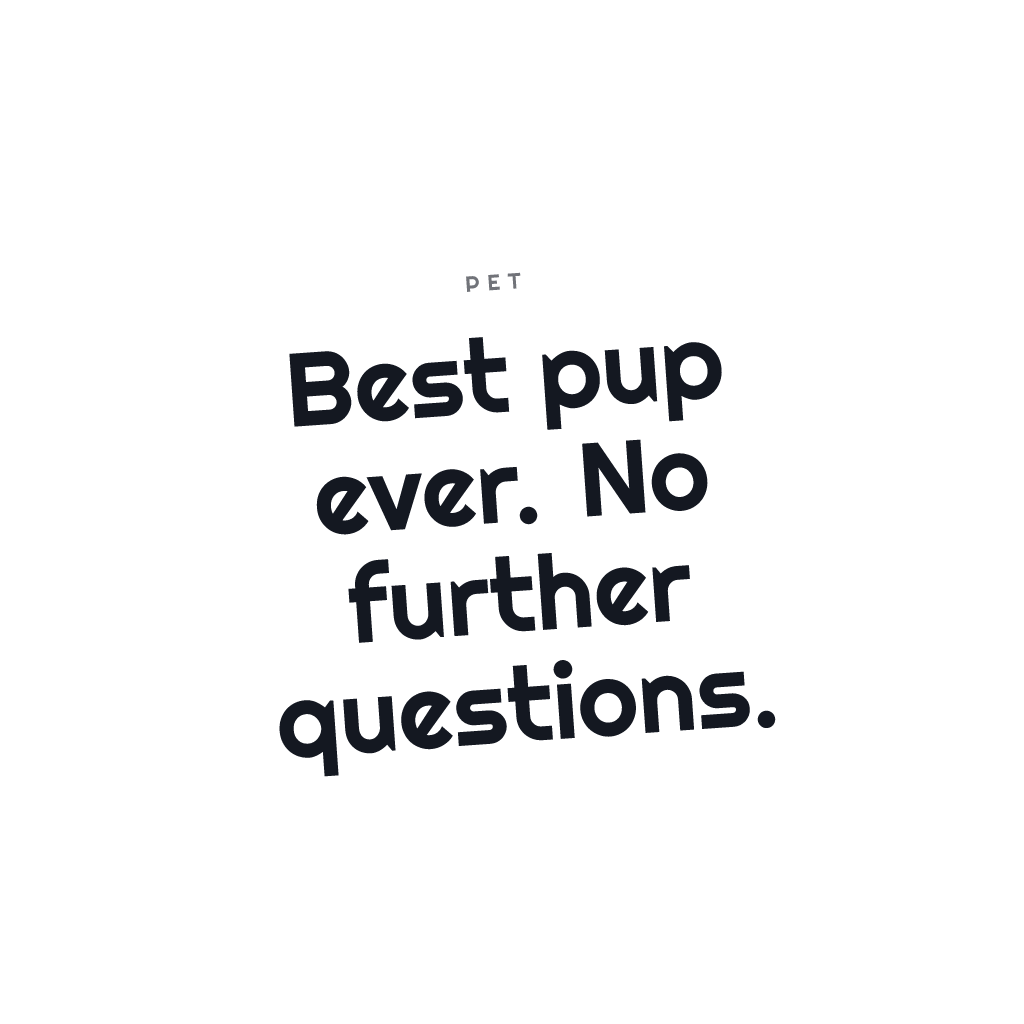 Best Pup Ever