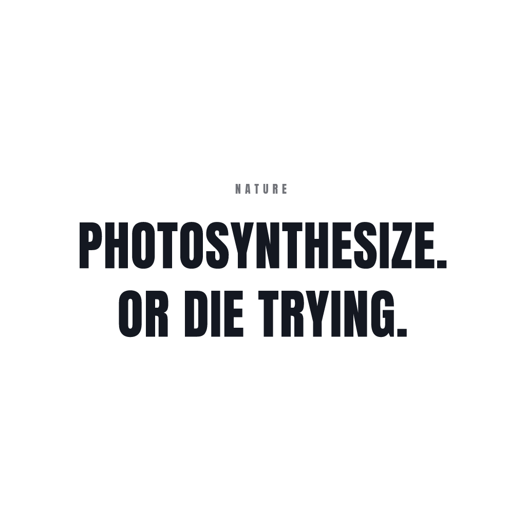 Photosynthesize Or Die